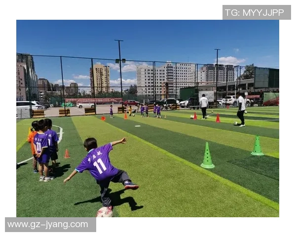 杨芳独家解析足球技巧与战术心得分享让你更懂比赛的魅力与乐趣